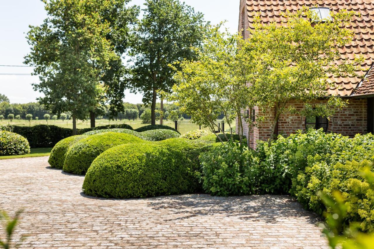 Hoeve Den Akker - Luxueuze Vakantiewoningen Met Privetuinen En Alpaca'S Nabij Brugge, Damme, Knokke, Sluis En Cadzand Dış mekan fotoğraf