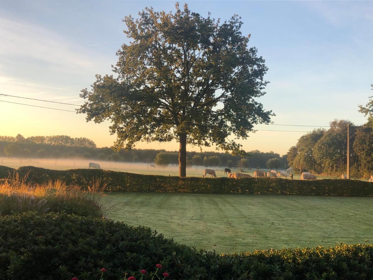 Hoeve Den Akker - Luxueuze Vakantiewoningen Met Privetuinen En Alpaca'S Nabij Brugge, Damme, Knokke, Sluis En Cadzand Dış mekan fotoğraf