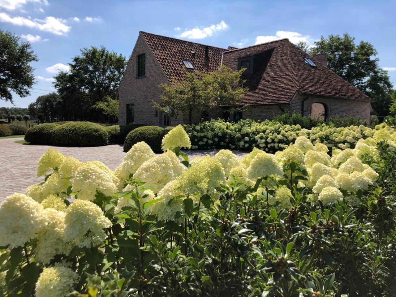 Hoeve Den Akker - Luxueuze Vakantiewoningen Met Privetuinen En Alpaca'S Nabij Brugge, Damme, Knokke, Sluis En Cadzand Dış mekan fotoğraf