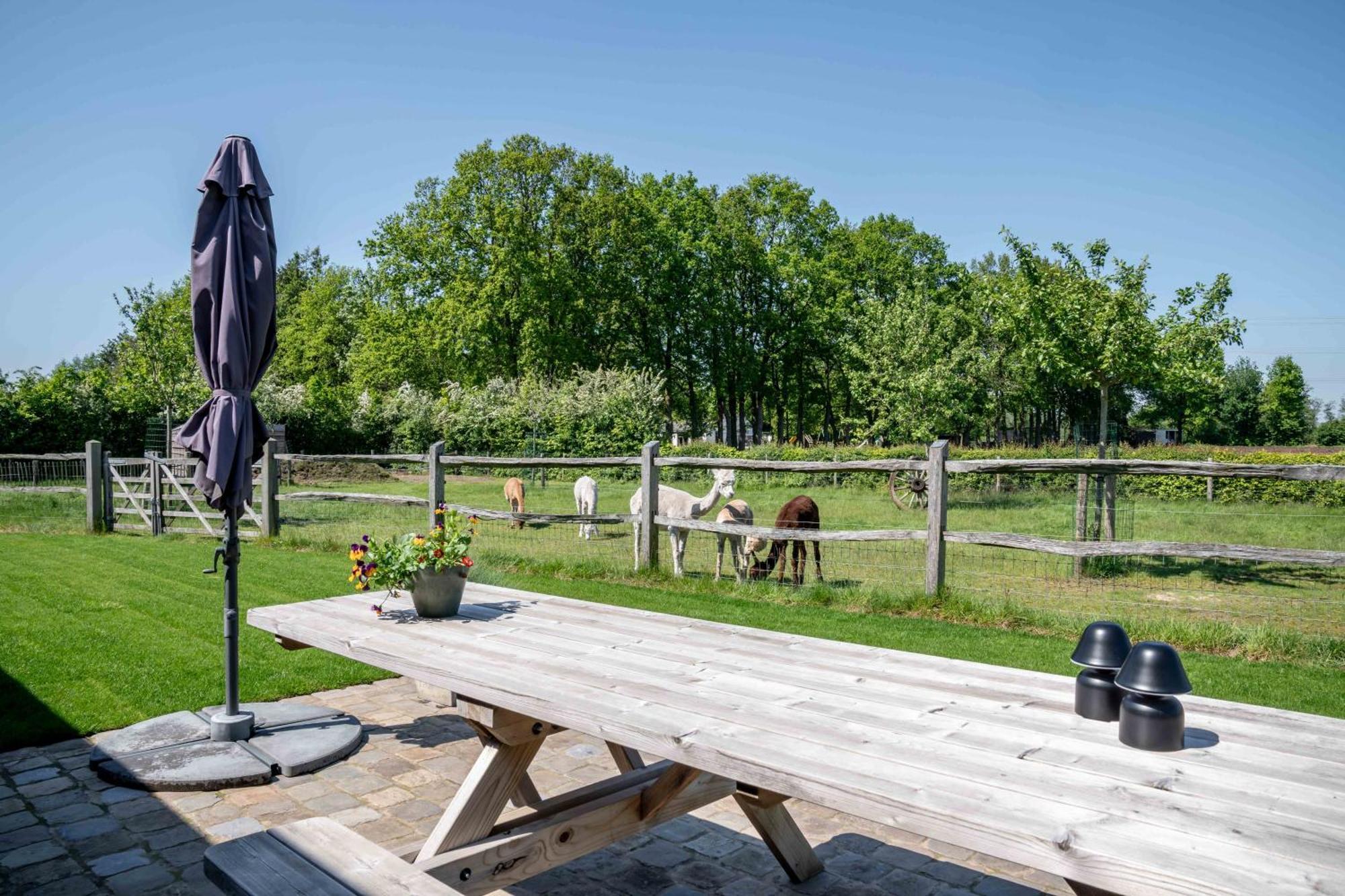 Hoeve Den Akker - Luxueuze Vakantiewoningen Met Privetuinen En Alpaca'S Nabij Brugge, Damme, Knokke, Sluis En Cadzand Dış mekan fotoğraf