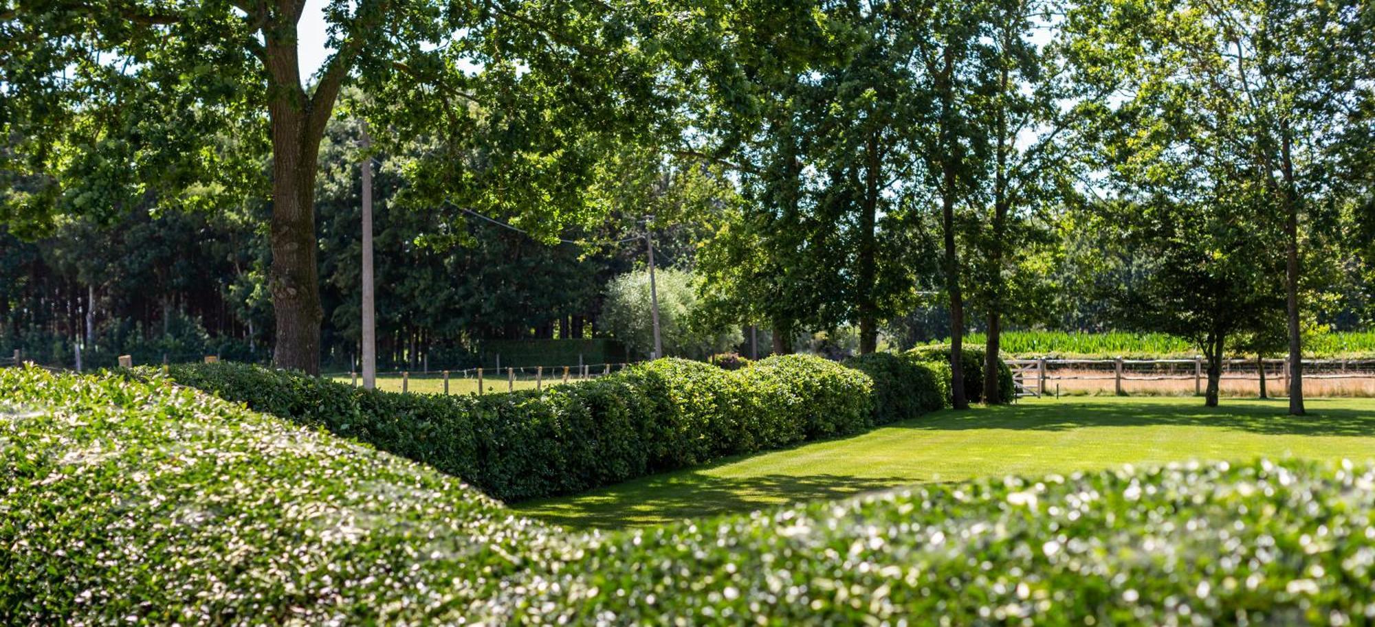 Hoeve Den Akker - Luxueuze Vakantiewoningen Met Privetuinen En Alpaca'S Nabij Brugge, Damme, Knokke, Sluis En Cadzand Dış mekan fotoğraf